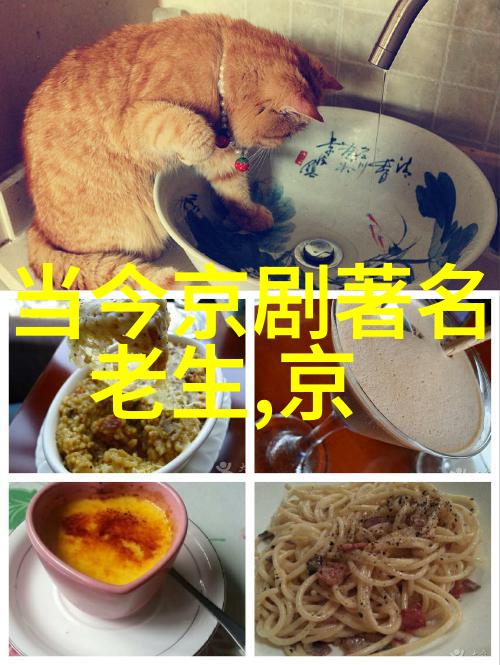 汤伯玉 京剧票友 汤伯玉