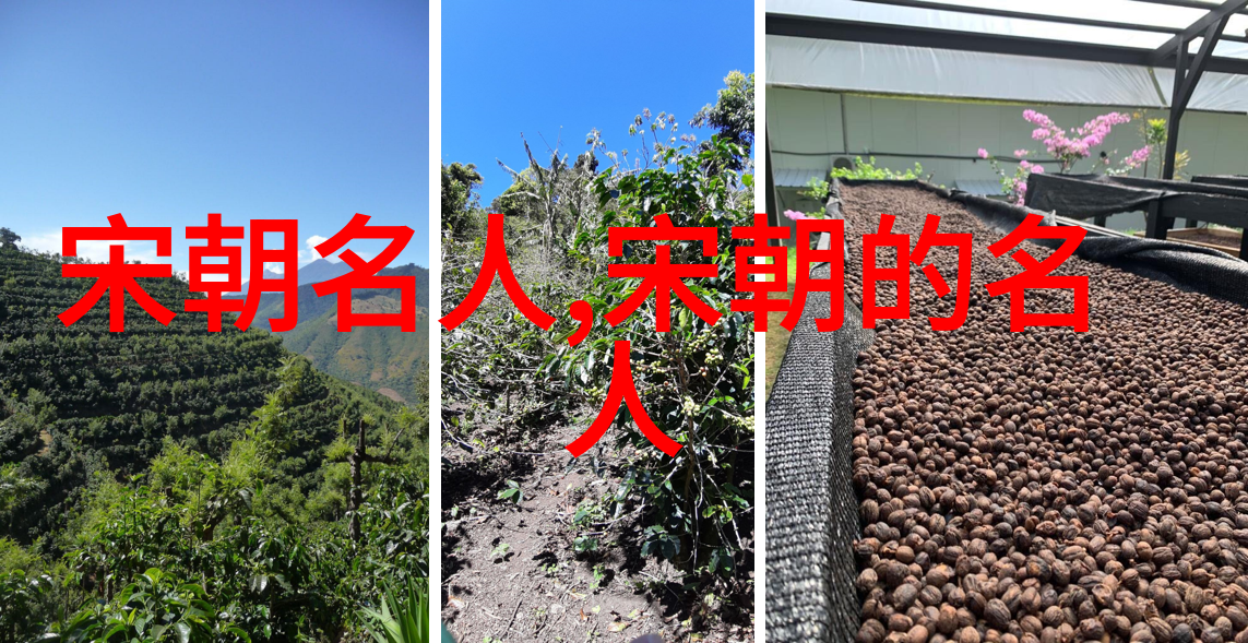 石守信(928年984年)